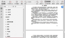 娱乐圈吃瓜pdf,PDF文件深度解析